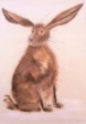 15 - Tessa Davies - 'Cute Hare'.jpg